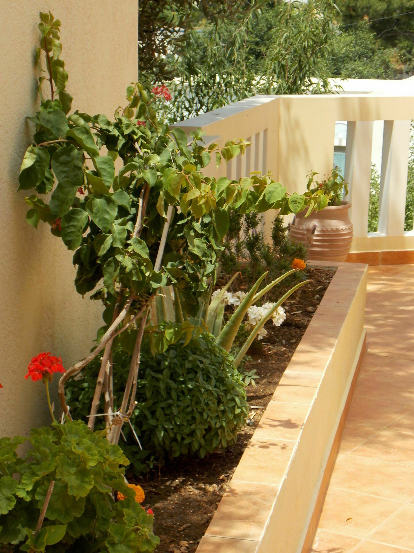 Myrties Boutique Apartments Masouri Exteriör bild